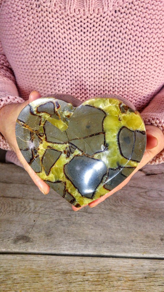Septarian - Bowl Heart - Height: 13 cm - Width: 13 cm- 1101 g #3.2