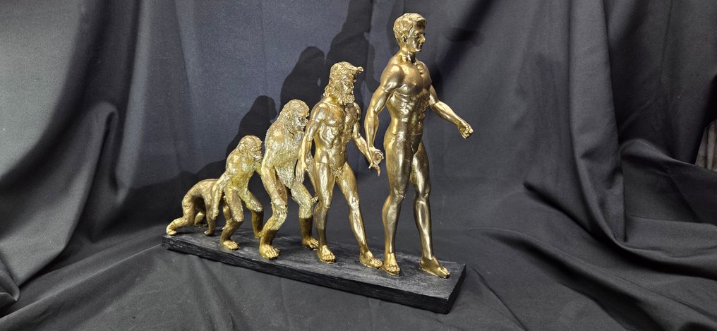 Curiosity cabinet- Human evolution in progress - resin presentation - Διόραμα - 1990-2000 #2.1