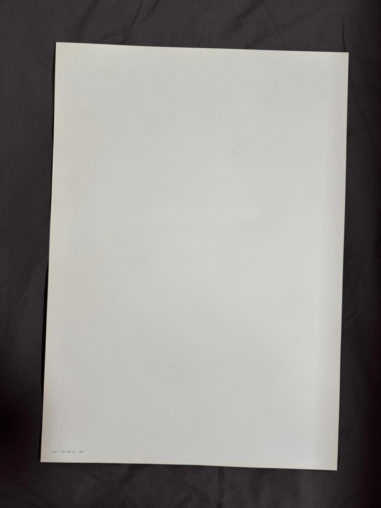 Sam Dillemans x 10 items - Sam Dillemans – Tentoonstellingsposters – complete set (1997-2000) - 1990s #1.0