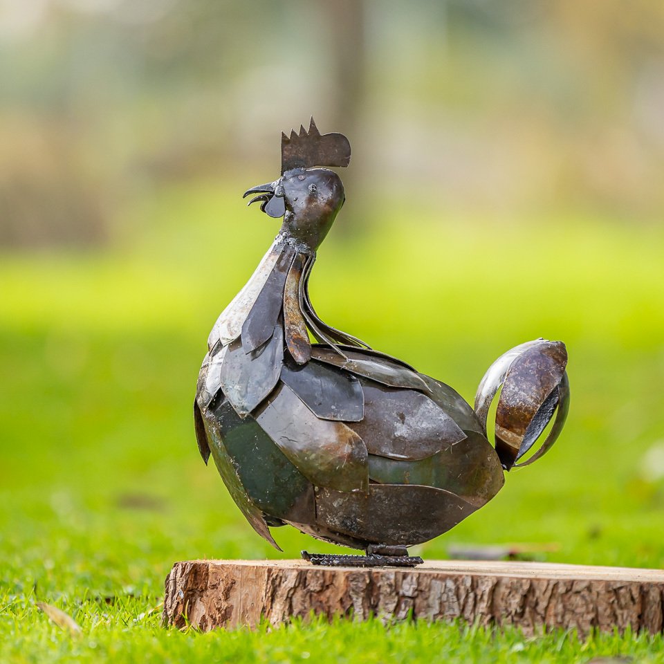 Sculpture, Zittende kip - 350 mm - Métal #1.0