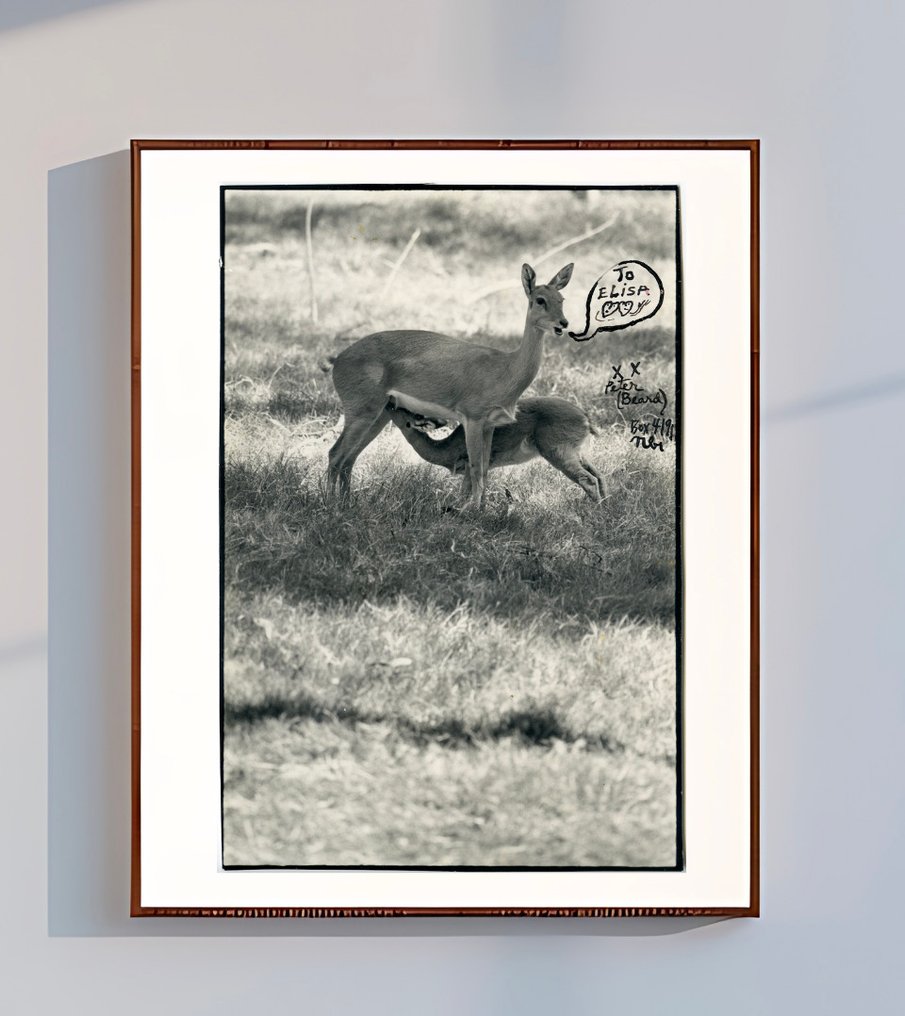 Peter Beard (1938 - 2020) - To Elisa #1.0