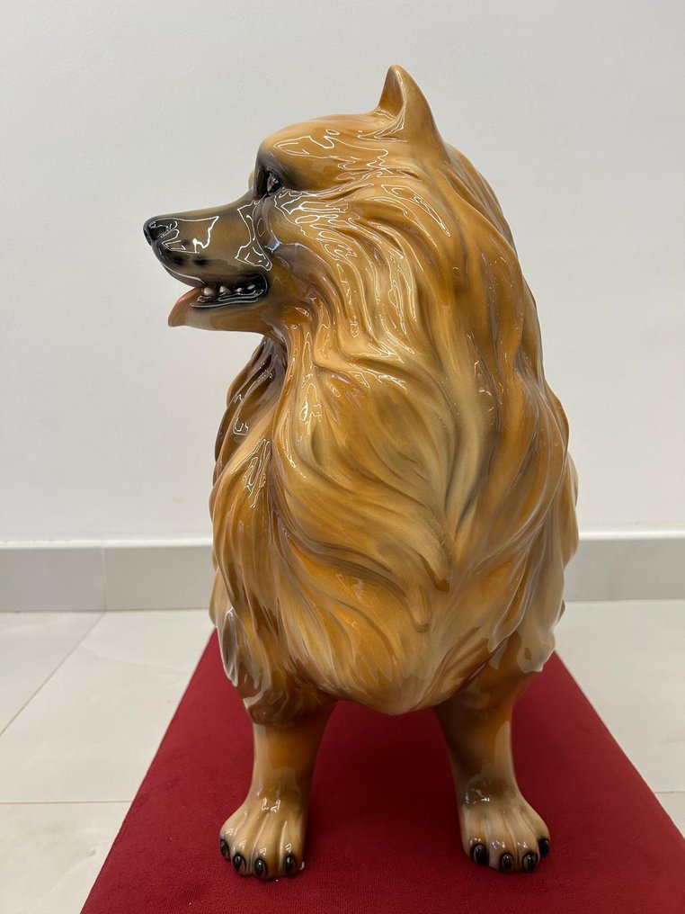 Statue, Spitz - 50 cm - Ceramic #3.2