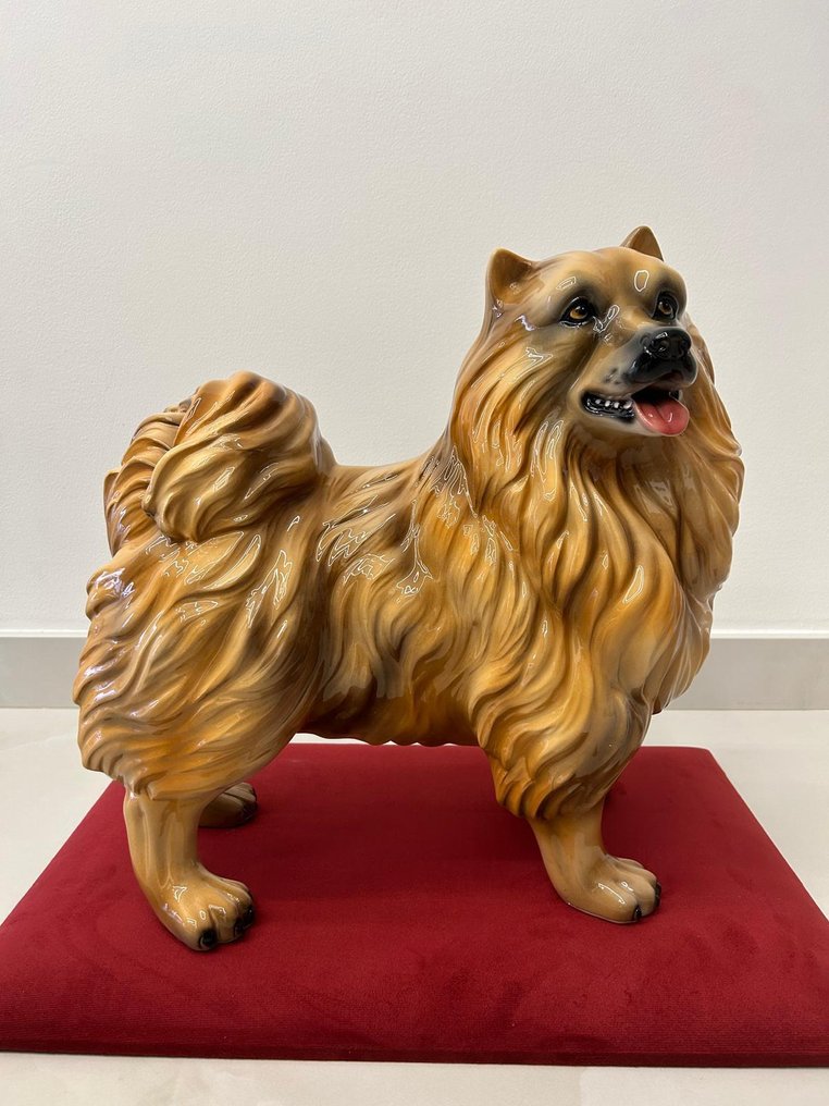 Statue, Spitz - 50 cm - Ceramic #1.0