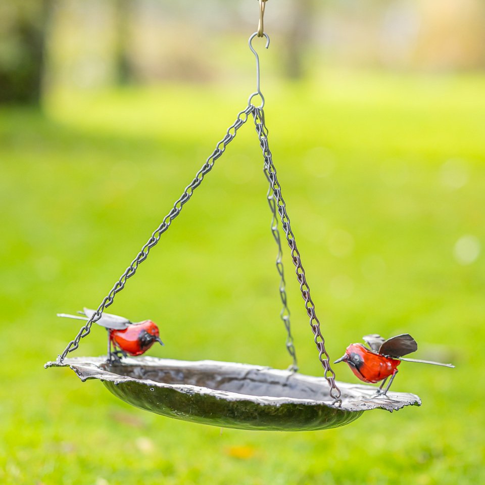  鸟浴盆 - 金属 #3.2