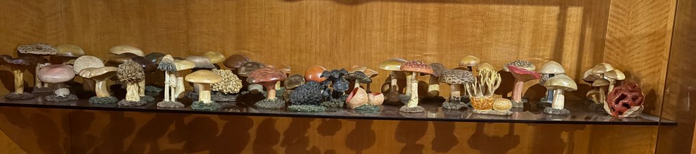 Διακοσμητικό στολίδι (48) - Ισπανία - Συλλογή μανιταριών από ρητίνη #1.0