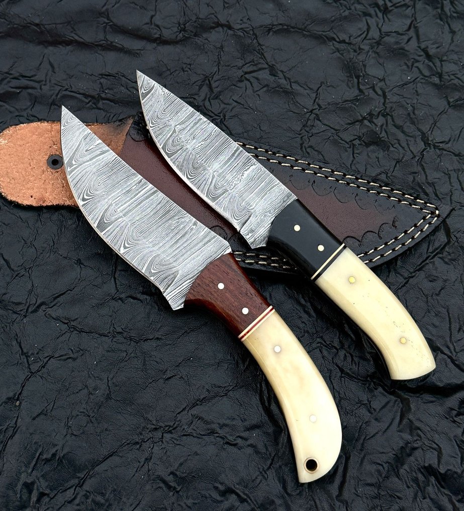 厨刀 -  厨房刀 - 餐刀 - 大马士革 10/95 15N20 水牛角、骆驼骨 - 木头 - 亚洲 #3.2