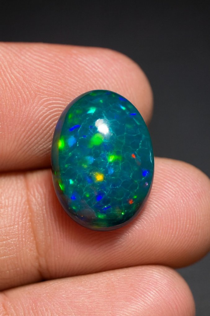 Opal Färgglada ljus, svart, 5 stycken- 1 g #2.1