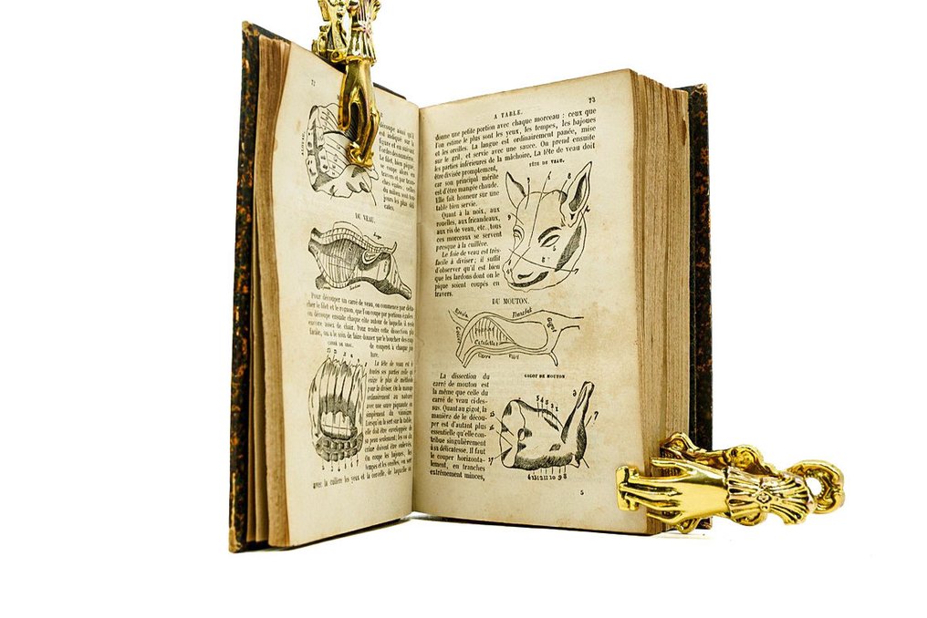 Louis-Eustache Audot - La cuisinière de la campagne et de la ville, Ou nouvelle cuisine économique - 1883 #4.3