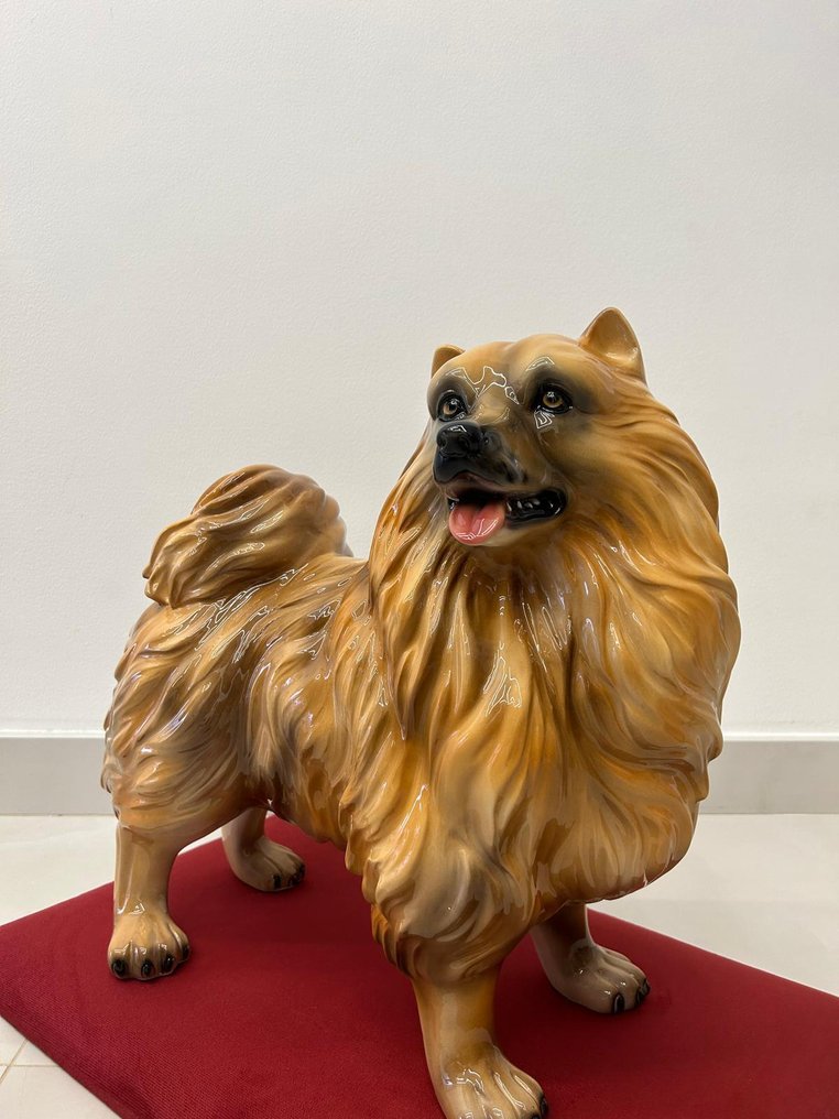 Statue, Spitz - 50 cm - Ceramic #1.0