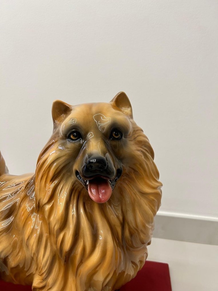 Statue, Spitz - 50 cm - Ceramic #4.3