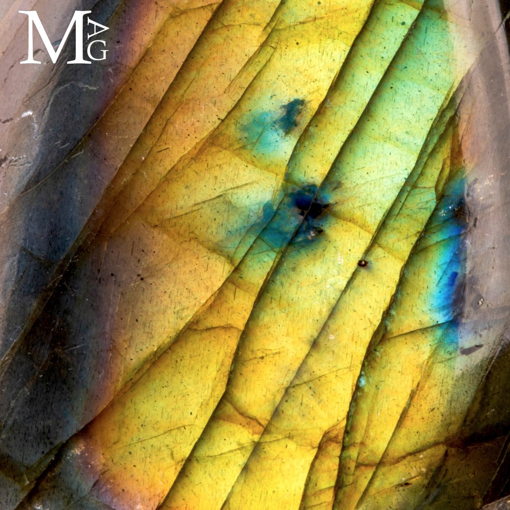 Extraordinary Silver Pendant - Superb Quality Labradorite with Unique Natural Reflexes - Certified - Height: 61 mm - Width: 30 mm- 23 g #1.0