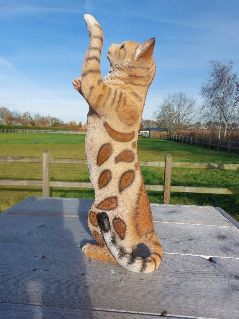 Άγαλμα, garden statue 50 cm high scratching cat - 50 cm - polyresin #3.2