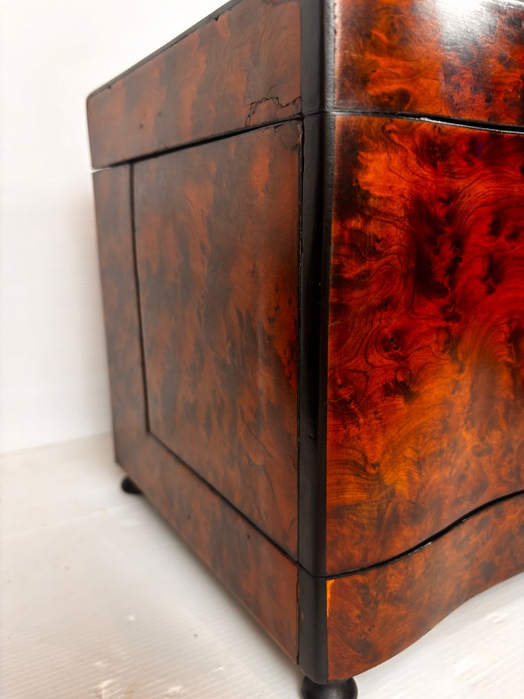 Cave à Liqueur Napoleon III - 酒柜 - 放大镜，桃花心木-红木-铜 #4.3