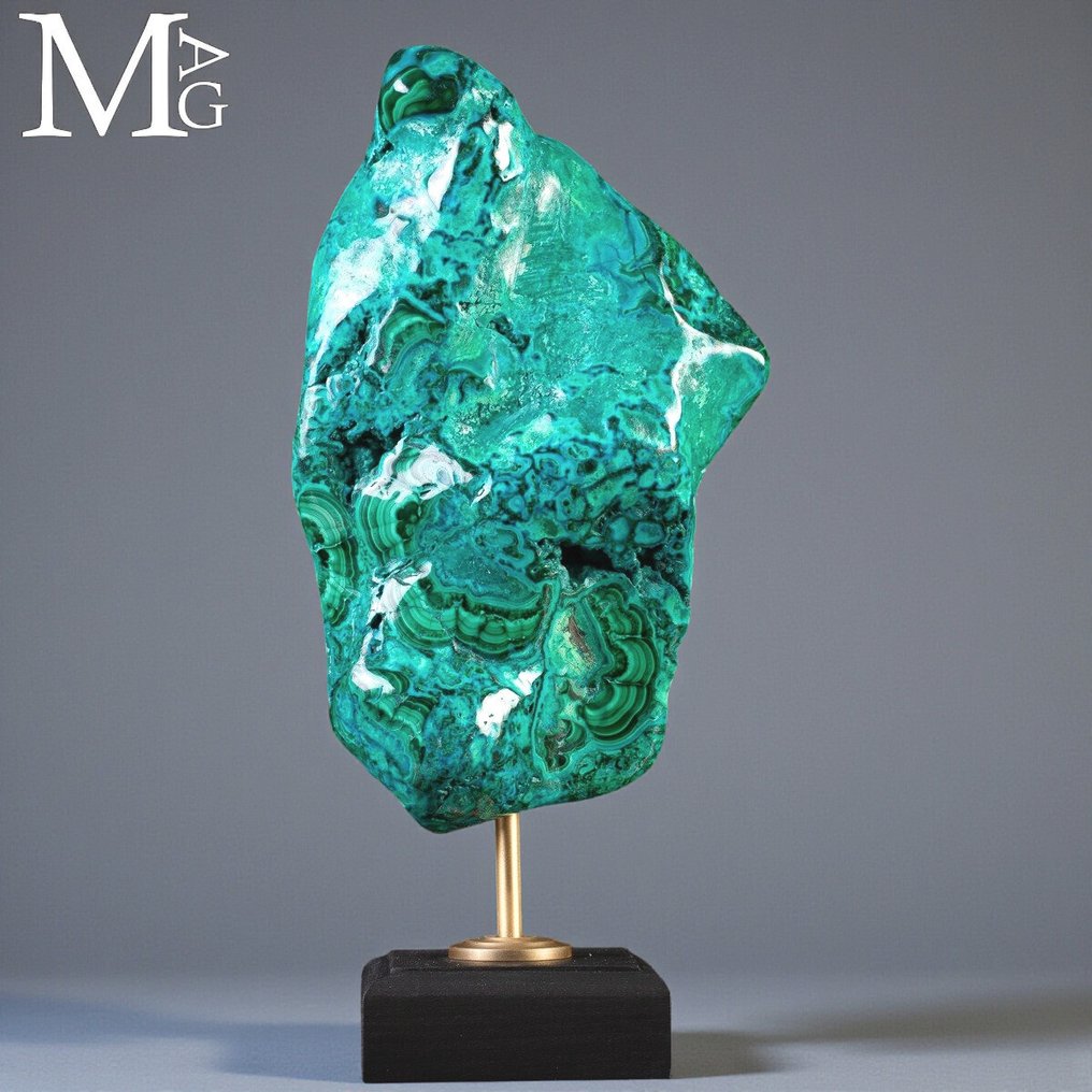 Malakit og Crisocolla - Ekstra kvalitetsprøve - Kunstnerisk base i træ og messing - Højde: 330 mm - Bredde: 160 mm- 4538 g #4.3