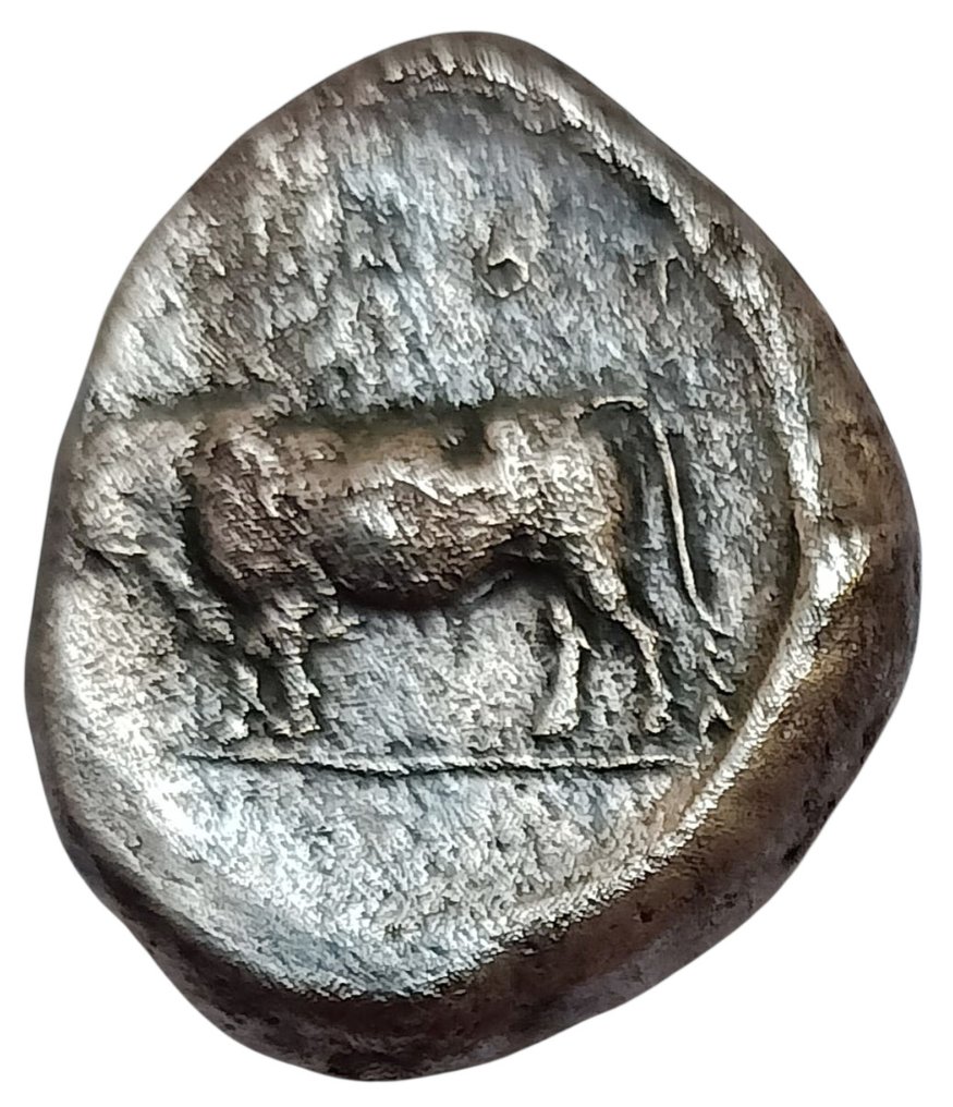 Lucanie, Poseidonia-Paestum Nomos 480-450 BC #1.0