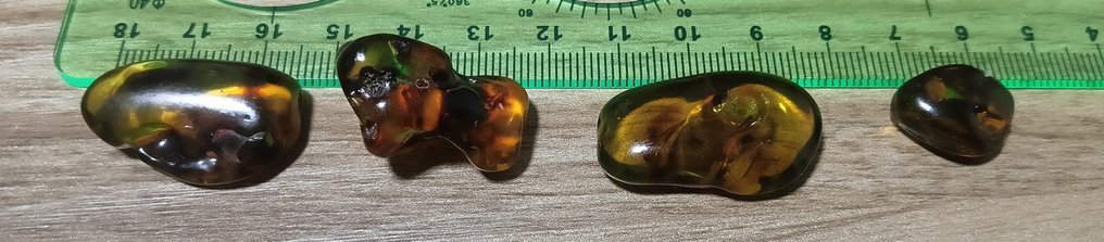 4 pieces of amber with inclusions - Amber - 0 mm - 0 mm  (No Reserve Price) #4.3