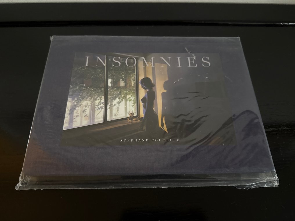 Stéphane Coutelle - INSOMNIES - 2013-2013 #1.0