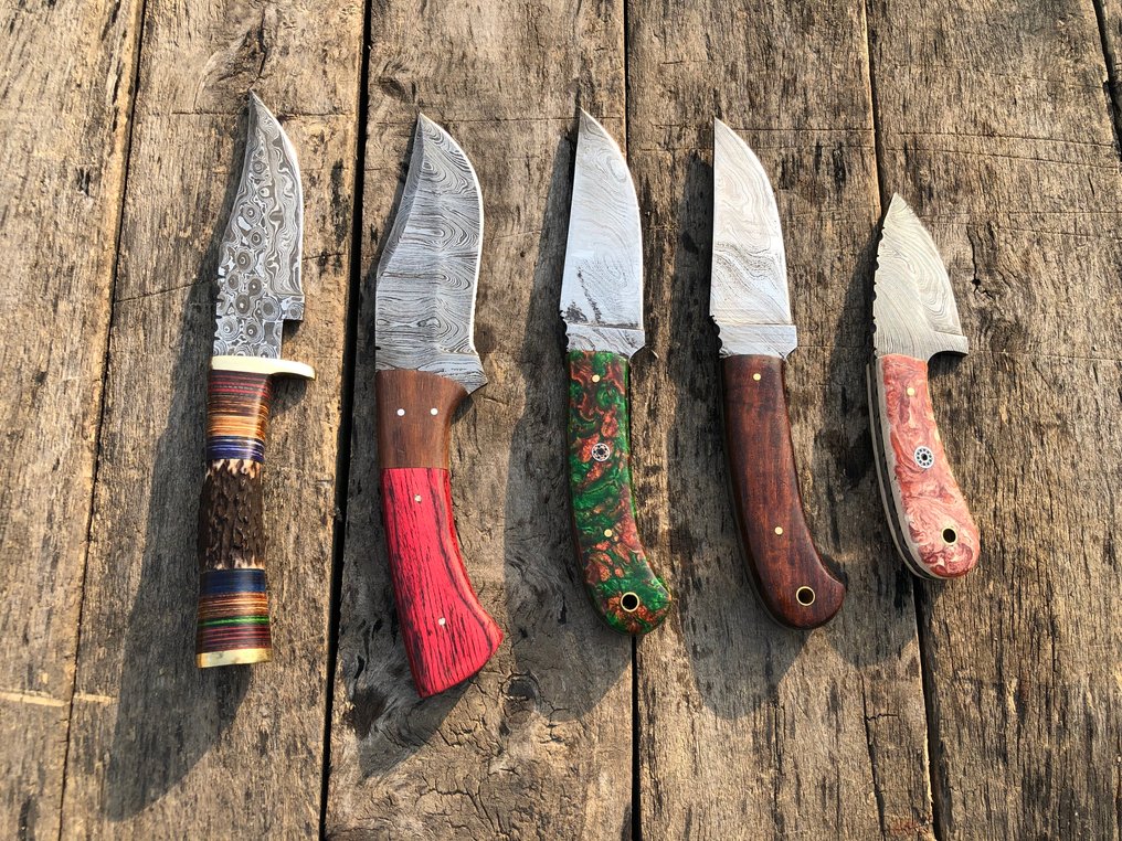 Kitchen knife - Prestigious Handmade Skinners Knives, Forged Steel, Stage Hirn, Wood & Rare Handles - North America - Leather Sheaths (A16) #1.0