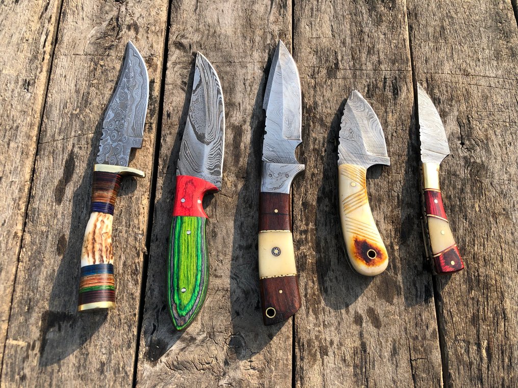 廚刀 - 声望手工剥皮刀，锻造钢，Stage Hirn，木材、骨头及稀有手柄 - 北美 - 皮套（A31） #1.0