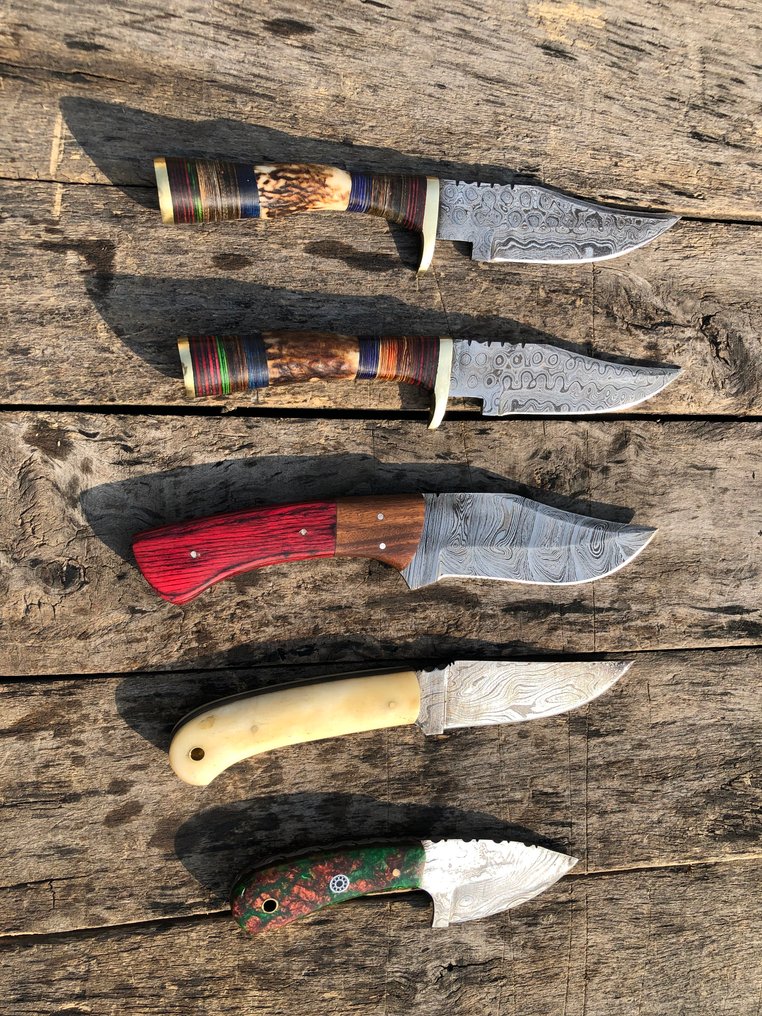 廚刀 - 著名的手工制作Skinners刀，锻钢，舞台角，木材，骨头及稀有手柄 - 北美 - 皮革鞘（A34） #1.0