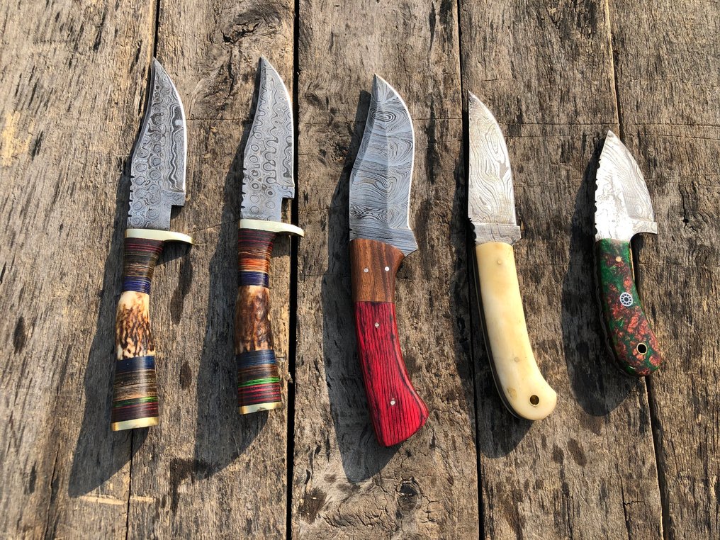 廚刀 - 著名的手工制作Skinners刀，锻钢，舞台角，木材，骨头及稀有手柄 - 北美 - 皮革鞘（A34） #3.2