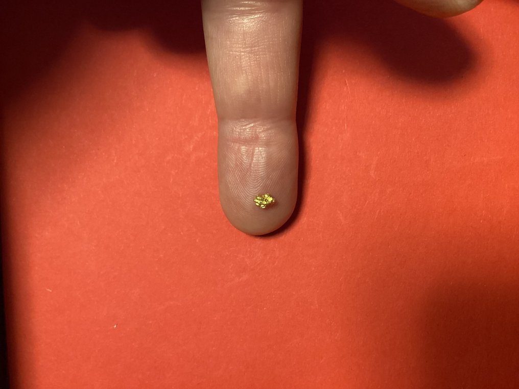 Gold Nugget- 0.56 g - (2) #3.2