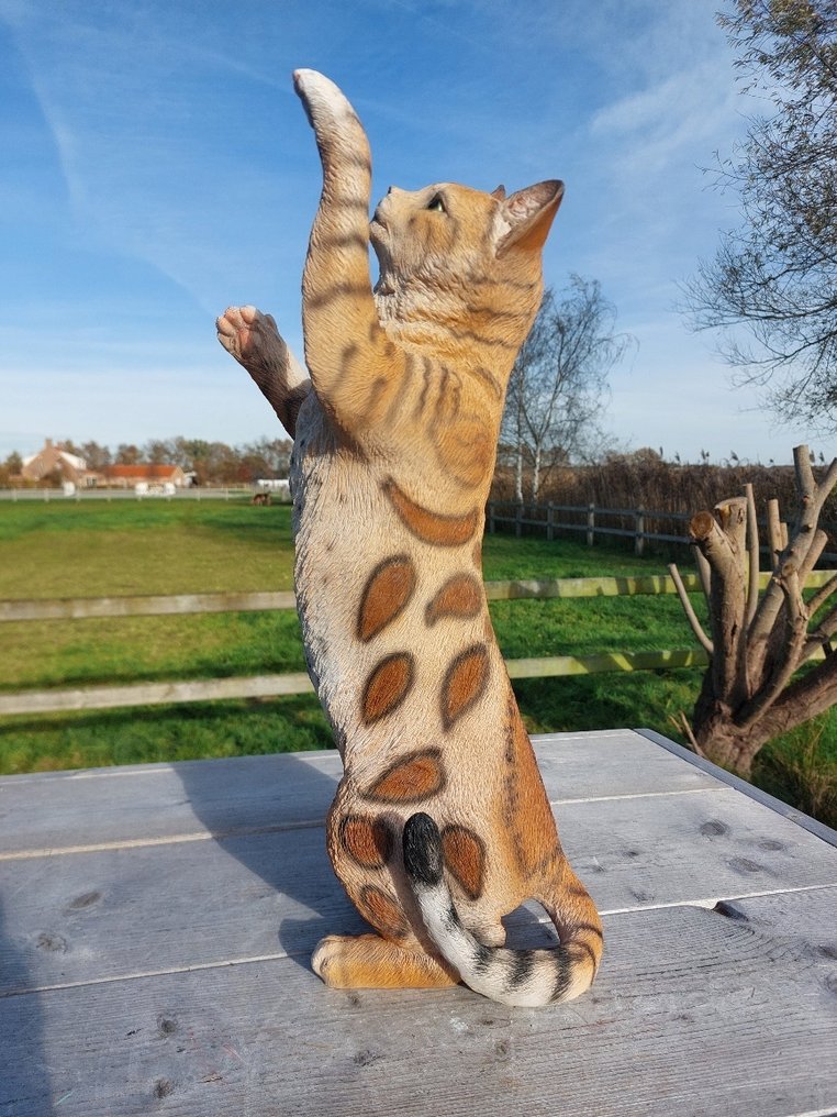 Άγαλμα, garden statue 50 cm high scratching cat - 50 cm - polyresin #1.0