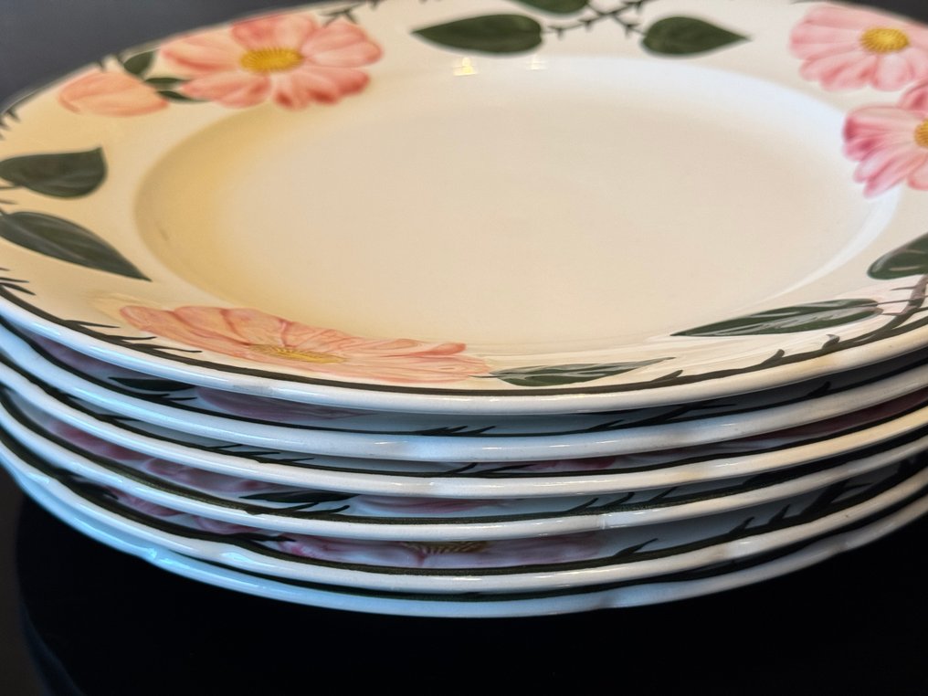 Plate (6) - Porcelain #2.1