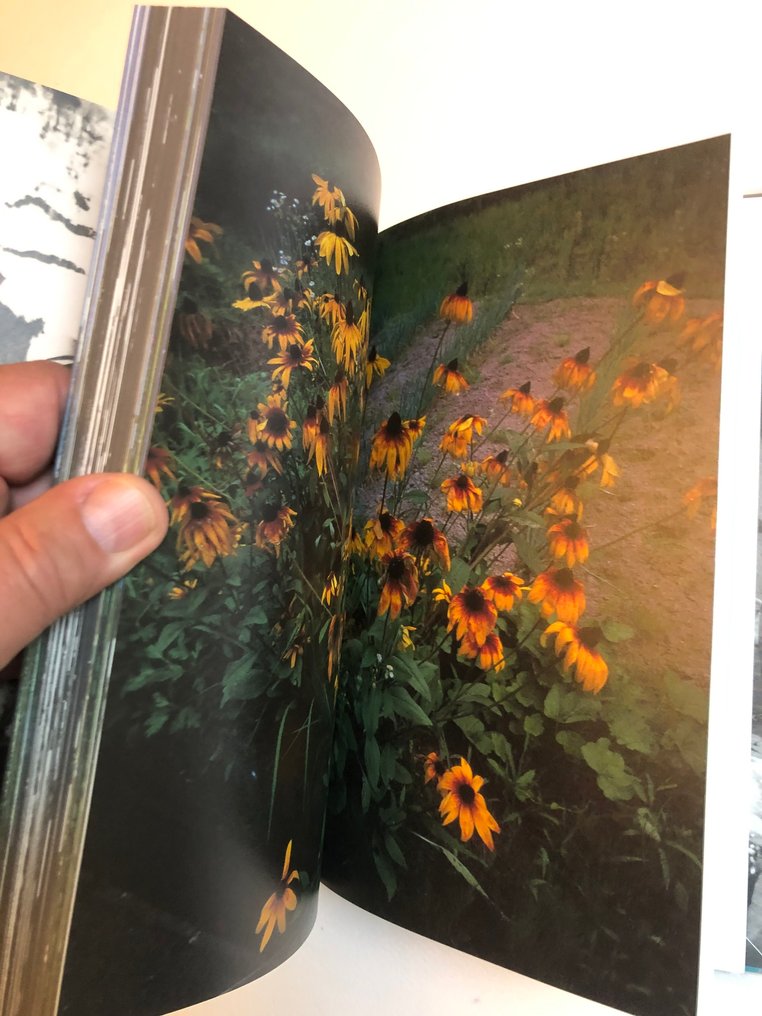 Daido Moriyama - To Nirvana and back - 2004 #4.3