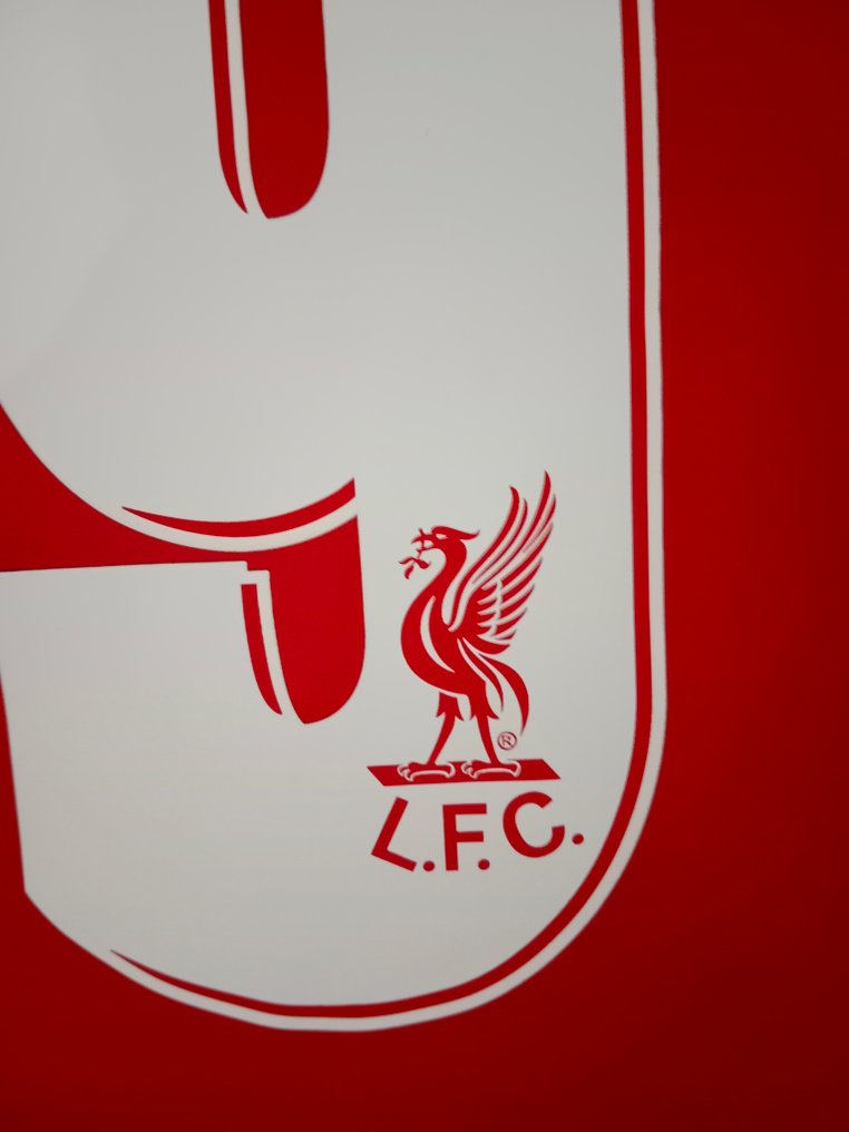 Liverpool - 英国联盟 - fowler - 2015 - 足球衫 #4.3