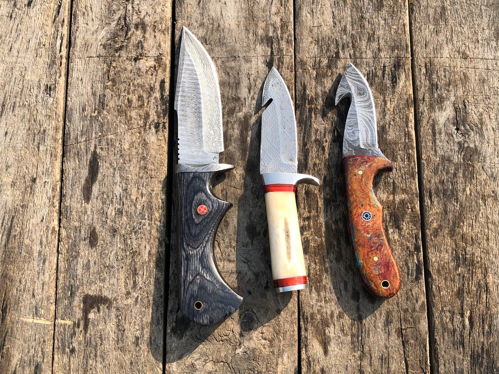 廚刀 - 声名显赫的手工剥皮刀，锻造钢、骨头及稀有手柄 - 北美 - 皮革鞘（A51） #4.3