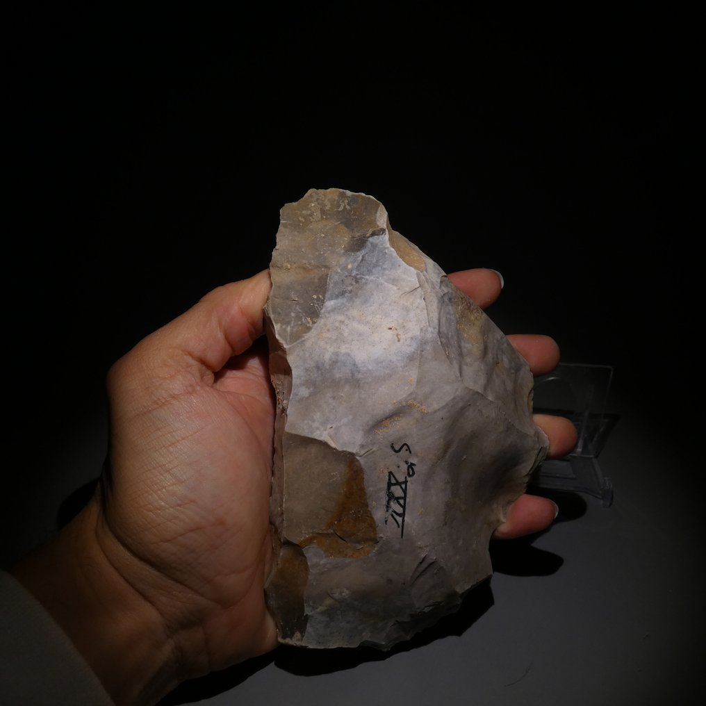 Neolitisk Big Flint. 16 cm L. Kniv - 5000 f.Kr. Økse (Ingen mindstepris) #1.0