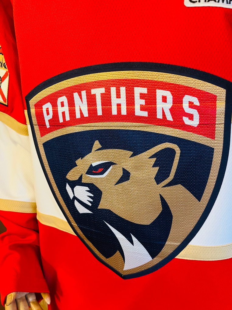 Florida Panthers - 冰球 - Sergei Borbovsky - 2025 - 曲棍球球衣 #3.2