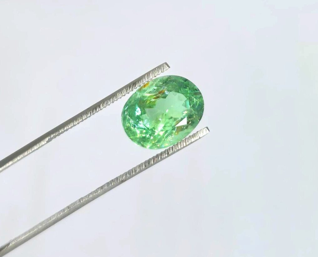 1 pcs  綠色 帕拉伊巴碧璽  - 2.68 ct - 國際有色寶石協會 (ICA GemLab) #2.1