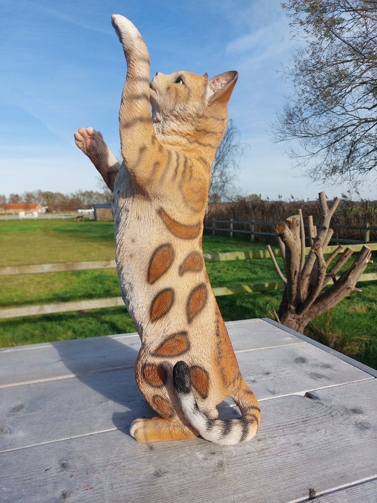 Άγαλμα, garden statue 50 cm high scratching cat - 50 cm - polyresin #1.0