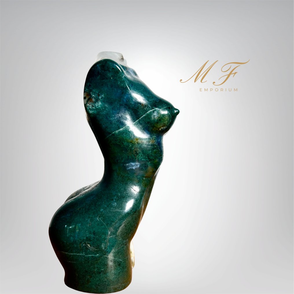 Magnificent large-sized bust in Agathe foam. Carving - Height: 160 mm - Width: 80 mm- 860 g - (1) #2.1