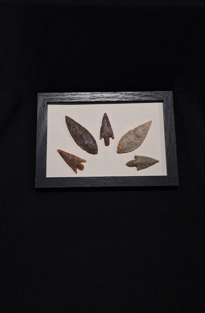 Neolithic Jasper Neolithic arrowhead collection on a multicolored jasper frame from North Africa, Mauritania - 168 mm  (No Reserve Price) #1.0