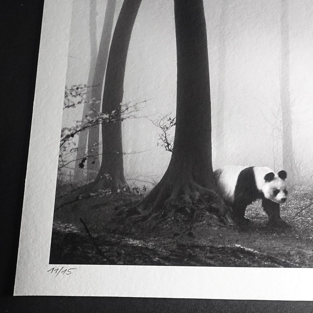 Frank Machalowski - tierwald #2 #3.2