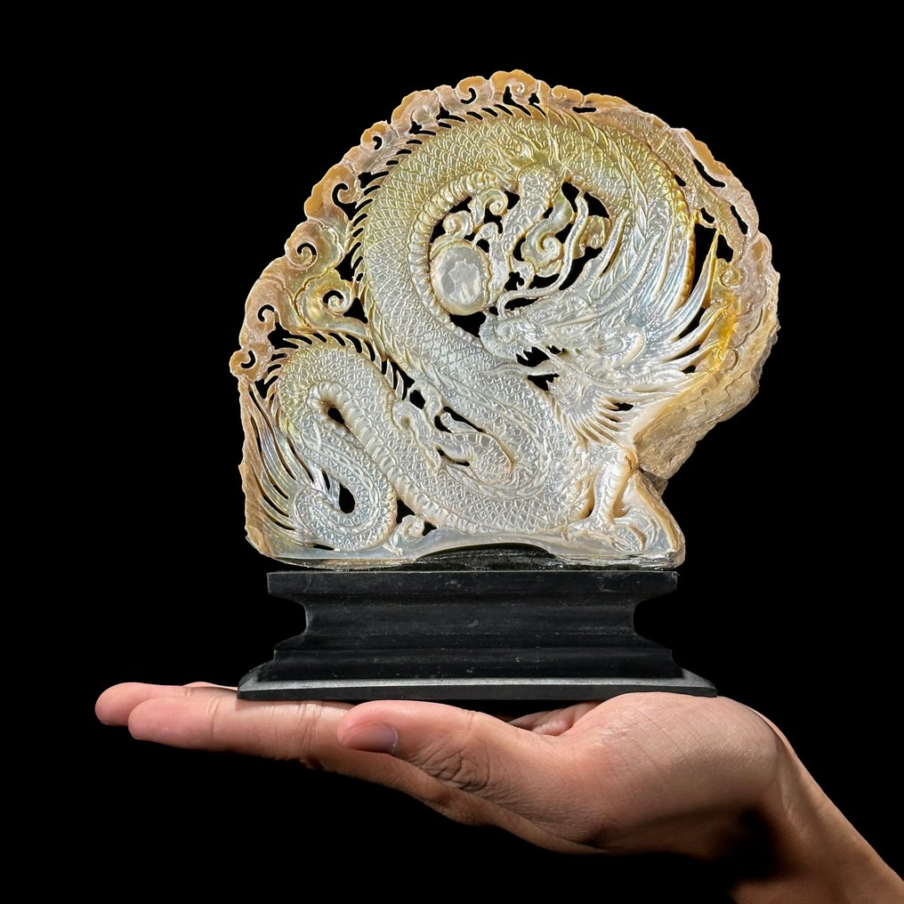 美丽的雕刻珍珠母，配有定制底座——龙纹图案 海贝 - Pinctada Maxima  (没有保留价) #1.0