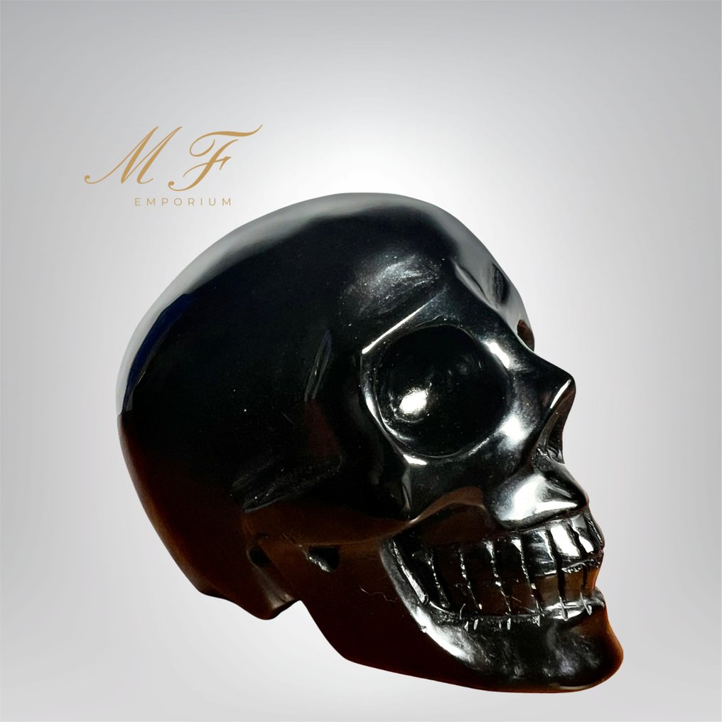 Magnificent large obsidian skull. Skull - Height: 90 mm - Width: 120 mm- 950 g - (1) #1.0