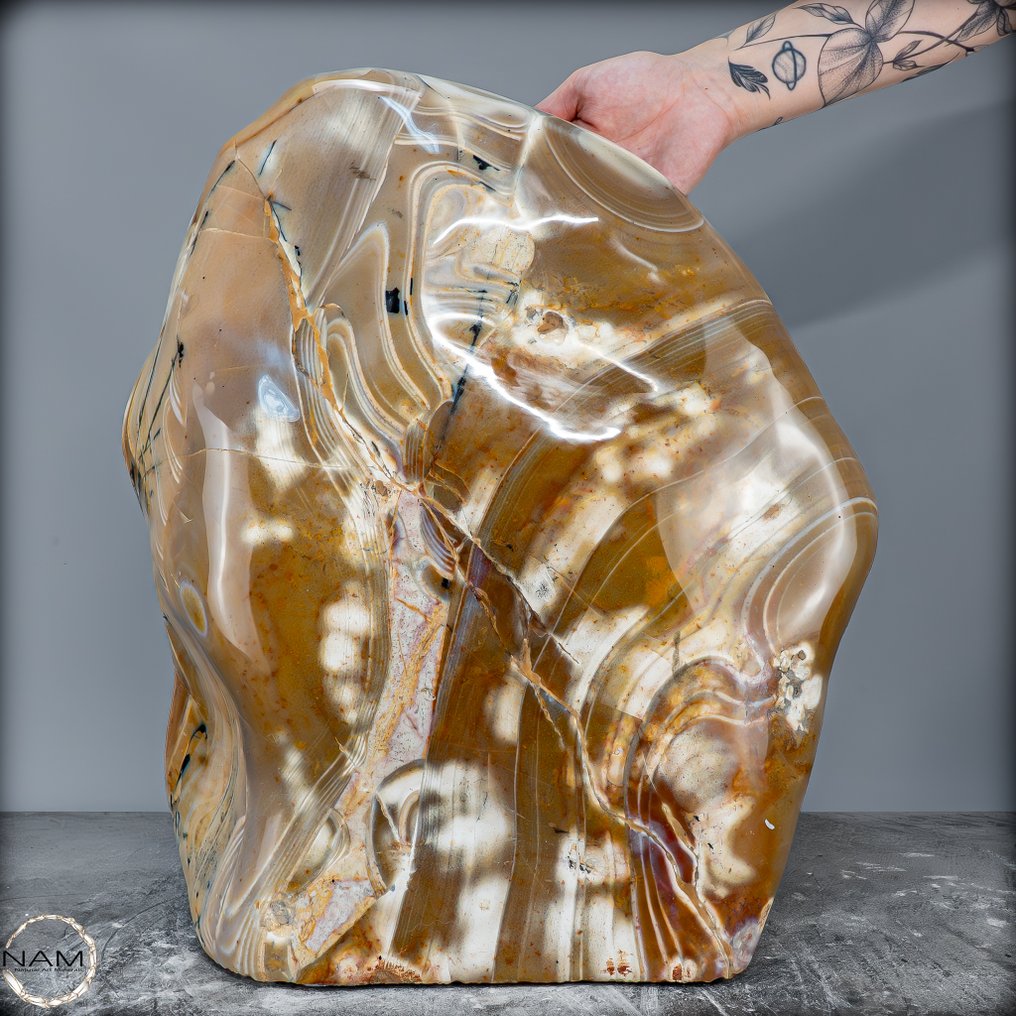 Μεγαλοπρεπής Δενδριτικός Αχάτης με Ζώνες από τη Βραζιλία – Ένα φυσικό θαύμα 47,4 κιλών καθαρής ιστορίας της Γης- 47464 g #3.2