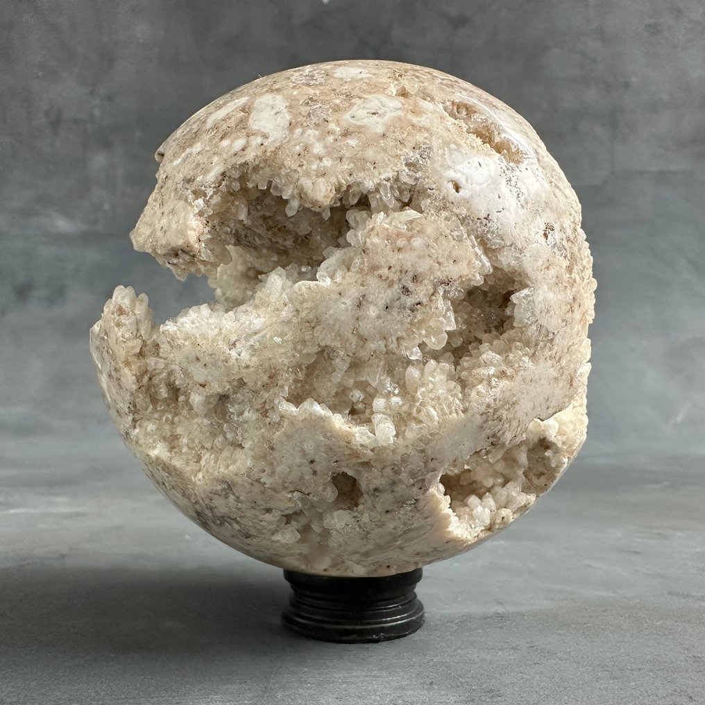 Zierornament (2) - NO RESERVE PRICE - Beautiful pair of Druzy White Crystal sphere and Petrified Wood sphere on stands - Indonesien #4.3