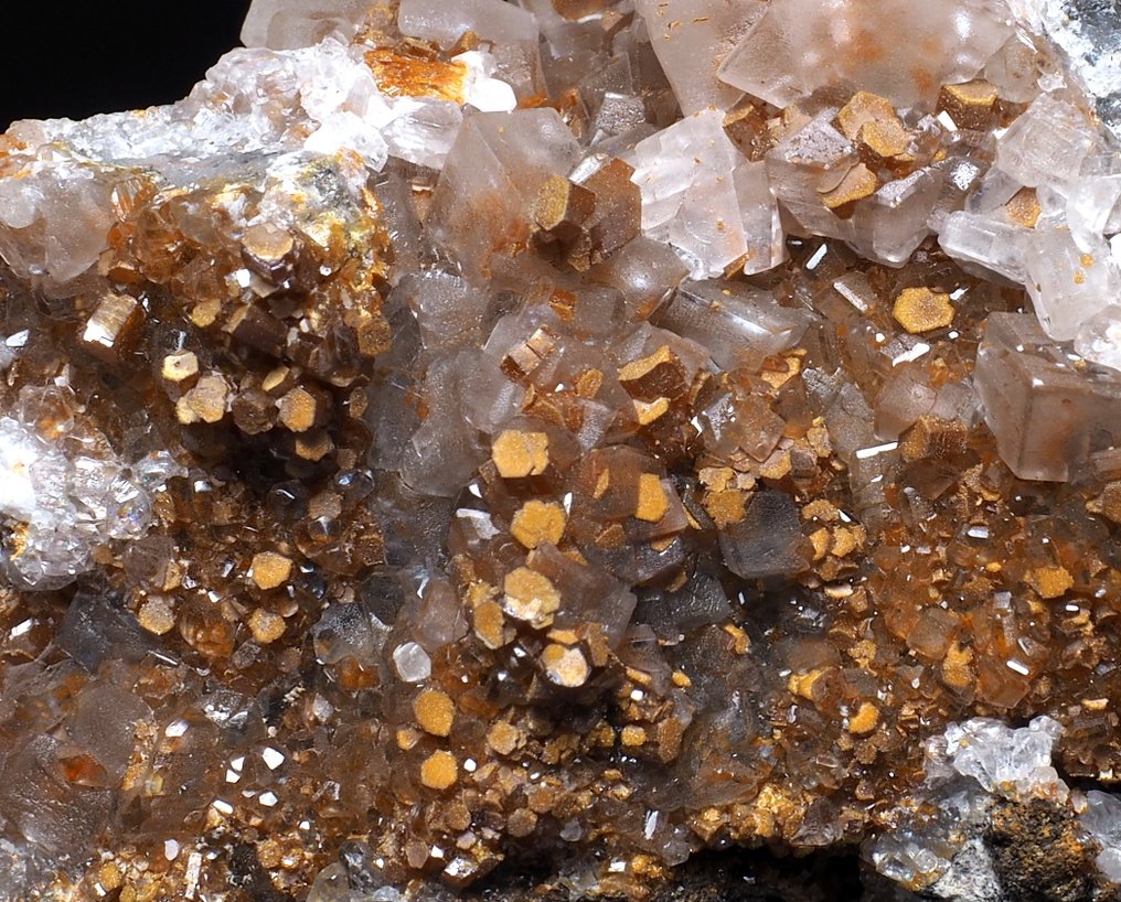 Vanadinita Cristales sobre matriz - Altura: 7.5 cm - Ancho: 4.5 cm- 100 g #2.1