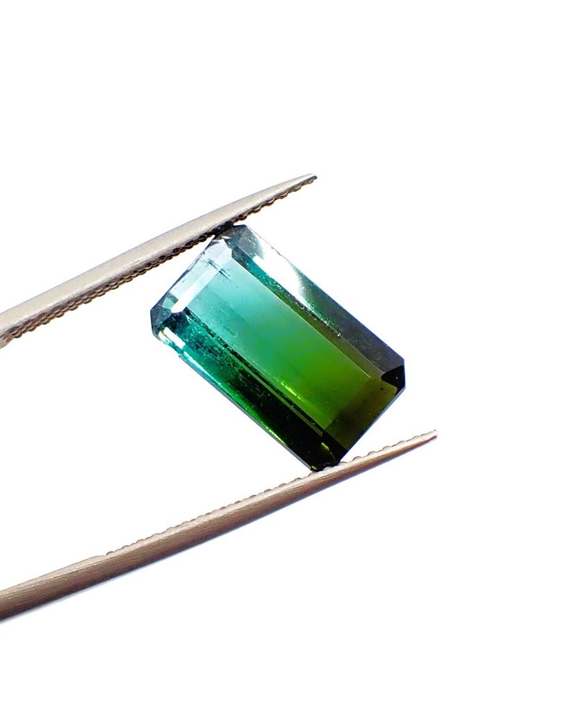 多色 電氣石  - 5.15 ct - Antwerp Laboratory for Gemstone Testing (ALGT) - 免运费 #3.2