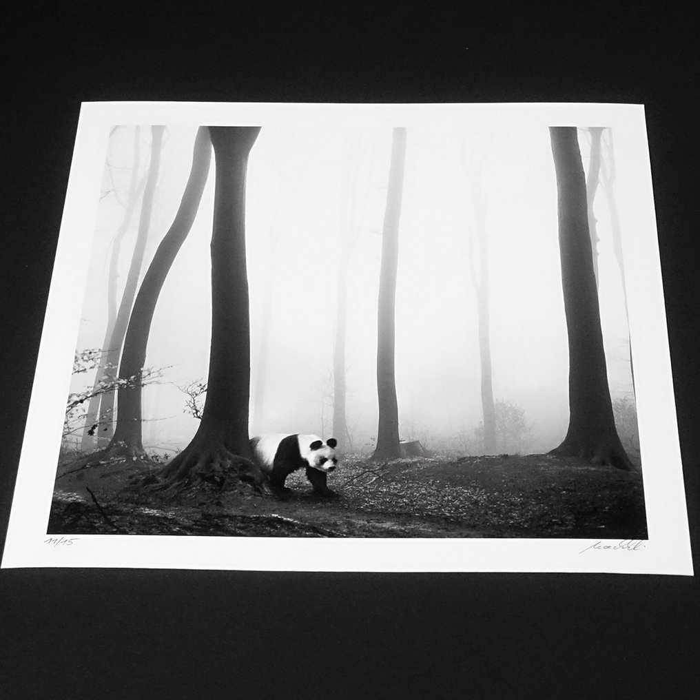 Frank Machalowski - tierwald #2 #4.3