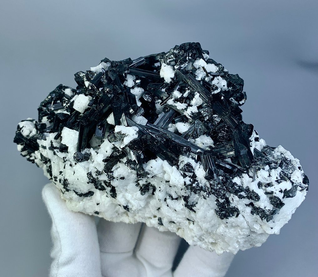 Χωρίς τιμή ελάχιστου ορίου, Μαύρο Τουρμαλίνη σε Πορσελάνη. Δείγμα - Ύψος: 156 mm - Πλάτος: 154 mm- 780 g - (1) #1.0