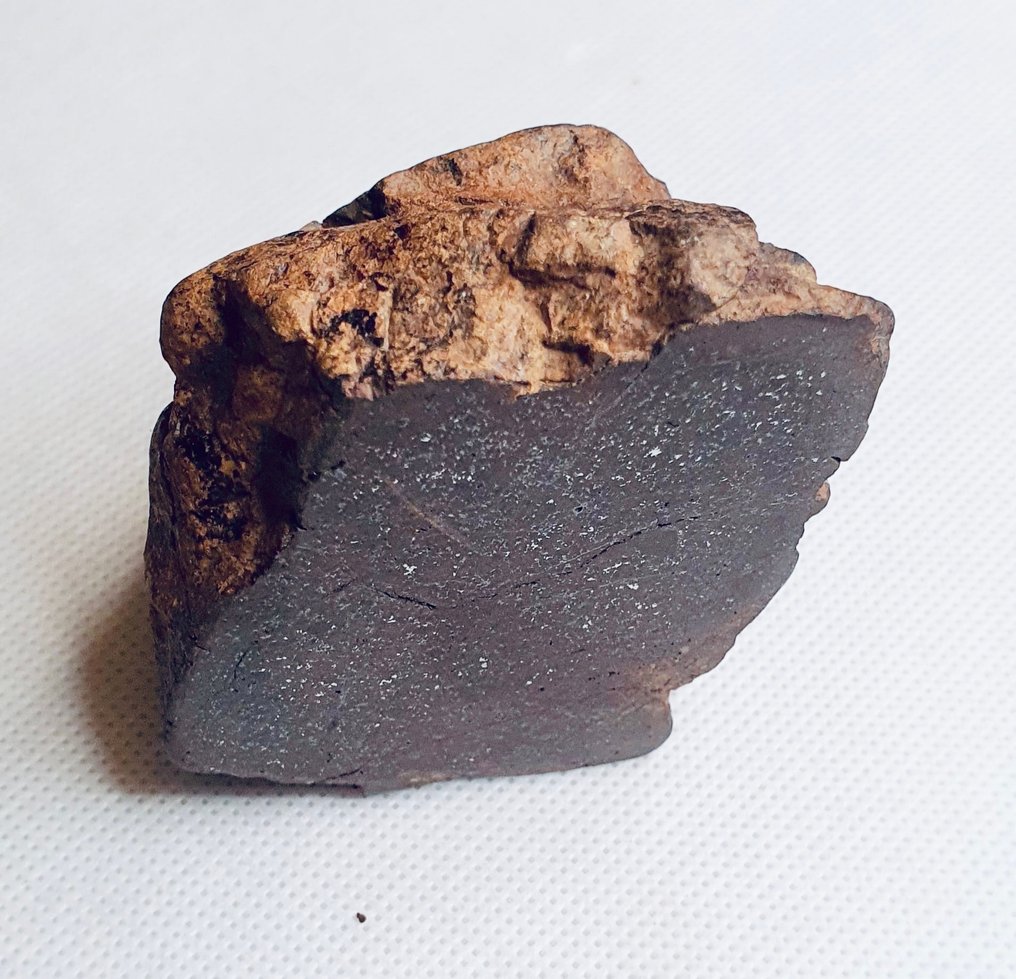 Uklassificeret NWA meteorit Kondrit - Højde: 70 mm - Bredde: 60 mm - 258 g - (1) #1.0