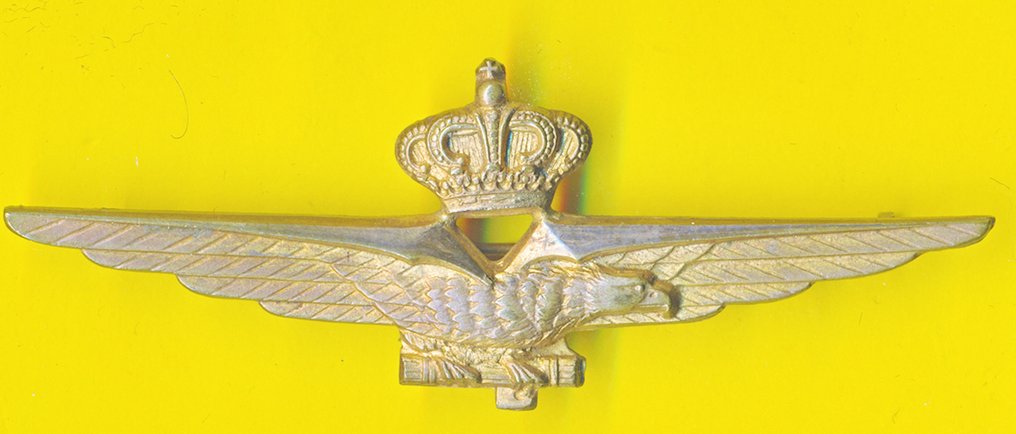 Olaszország - Érem - Regia Aeronautica Aquila pilota regno variante #1.0