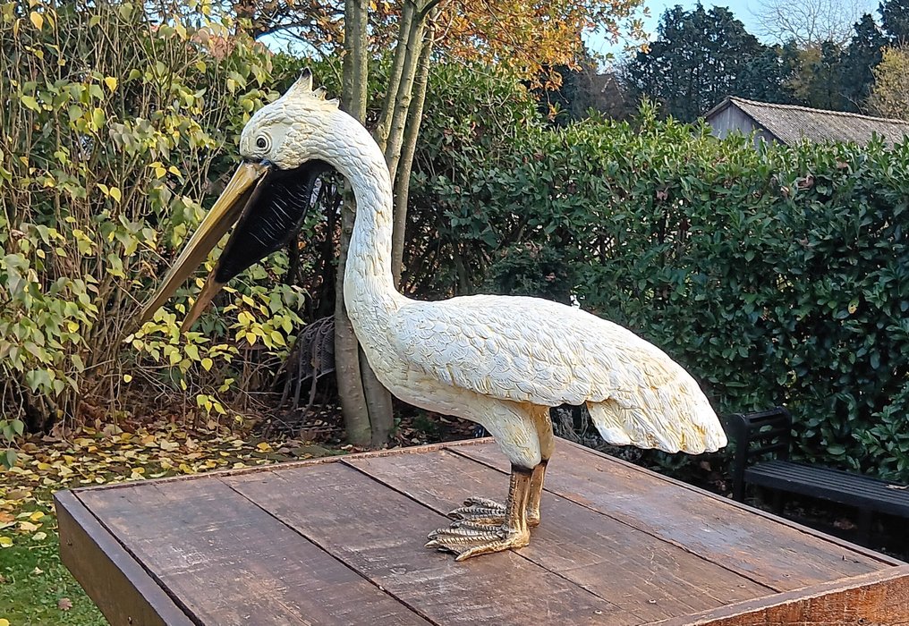 Sculpture, grote bronzen pelikaan 67 cm - 50 cm - Bronze #3.2