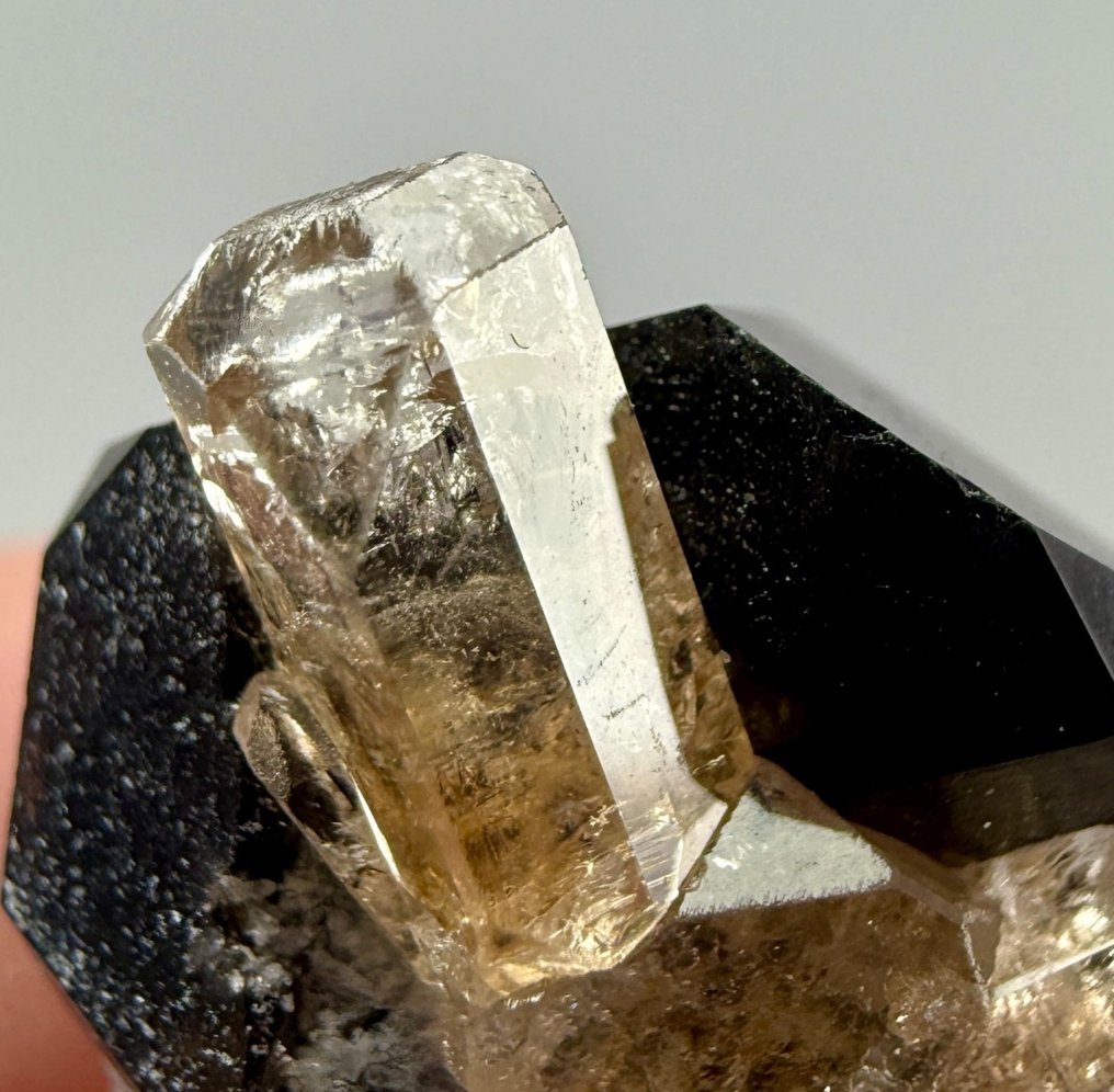 Topas Kristall auf Muttergestein - Höhe: 23 mm - Breite: 16 mm- 9.65 g - (1) #1.0